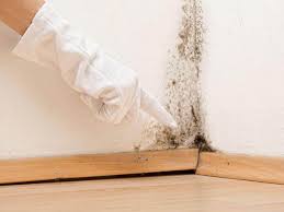  Cushing, OK Mold Removal & Remediation Pros